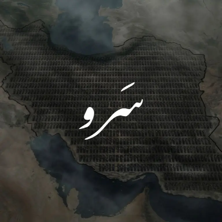 Sarv