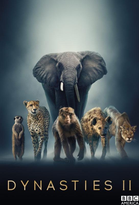 Dynasties II
