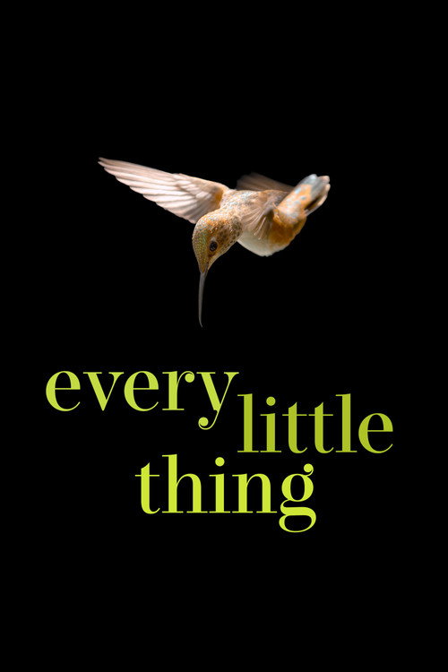Every Little Thing