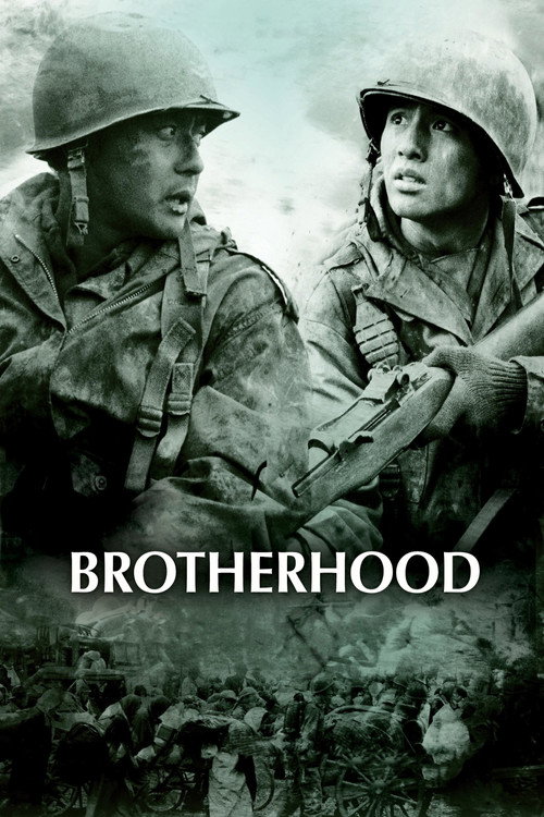 Tae Guk Gi: The Brotherhood of War