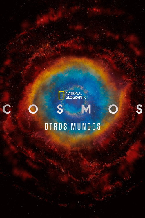 Cosmos. Possible Worlds