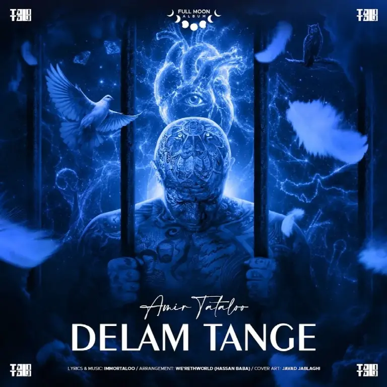 Delam Tange