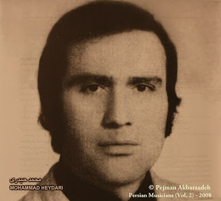 mohammad heydari