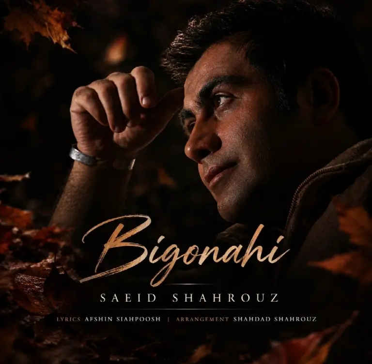 Bi Gonahi