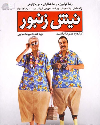 Nishe Zanboor
