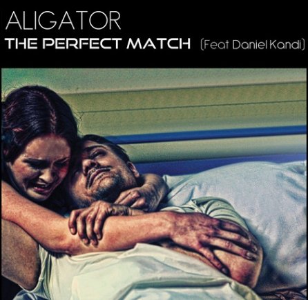 The Perfect Match 2012 - Album Remixes