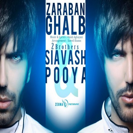 Zaraban Ghalb