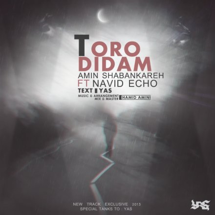 Toro Didam