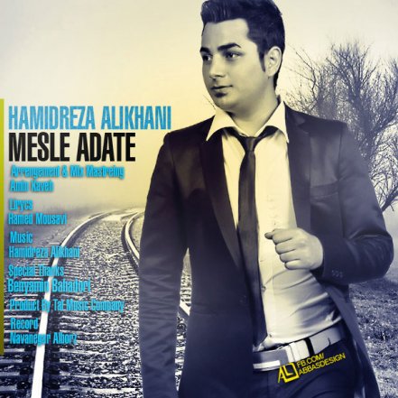 Mesle Adate