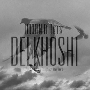Delkhoshi