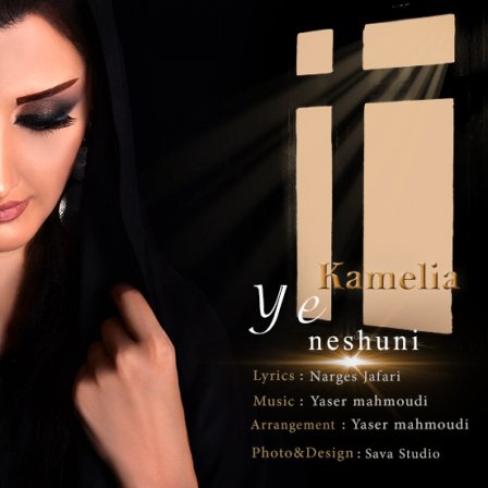 Ye Neshouni