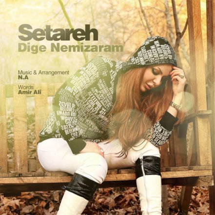 Dige Nemizaram