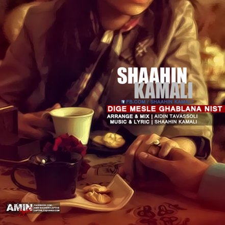 Dige Mesle Ghablana Nist