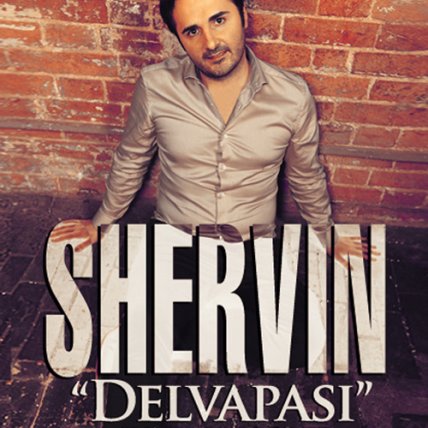 Delvapasi