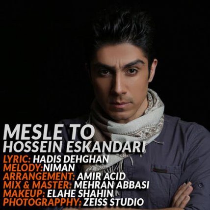 Mesle To