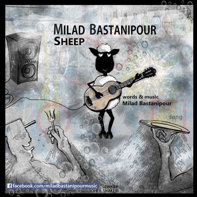 Sheep