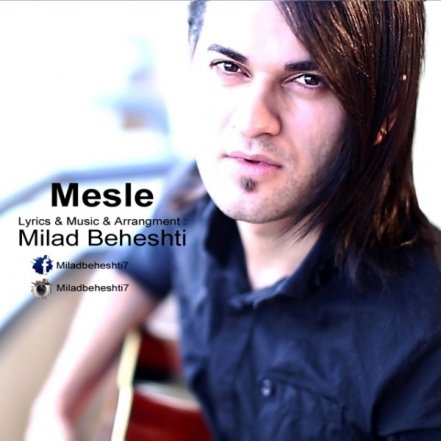 Mesle