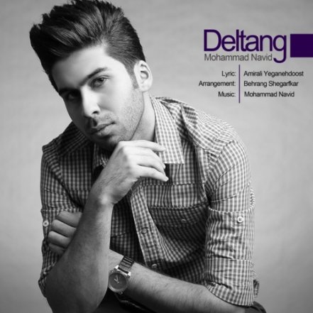 Deltang