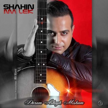 Daram Ashegh Misham