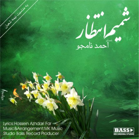 Shamim Entezar