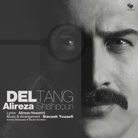 Deltang