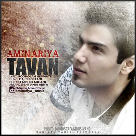 Tavan
