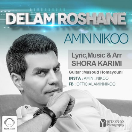 Delam Roshane