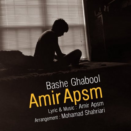 Bashe Ghabool