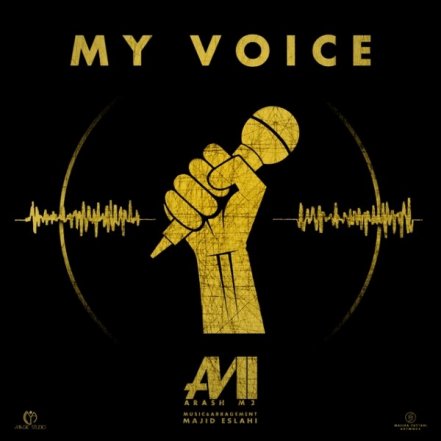 My Voice