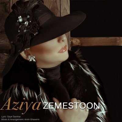 Zemestoon