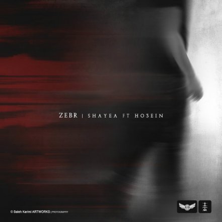 Zebr