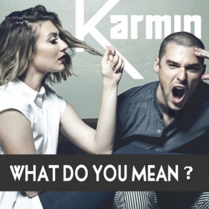 What Do You Mean