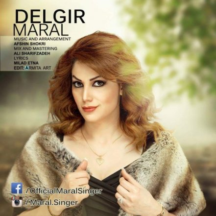 Delgir