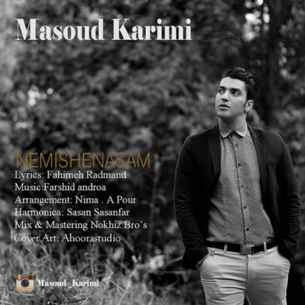 Nemishenasam