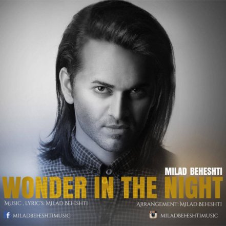 Wonder In The Night