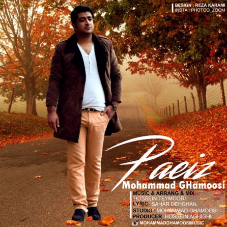 Paeiz