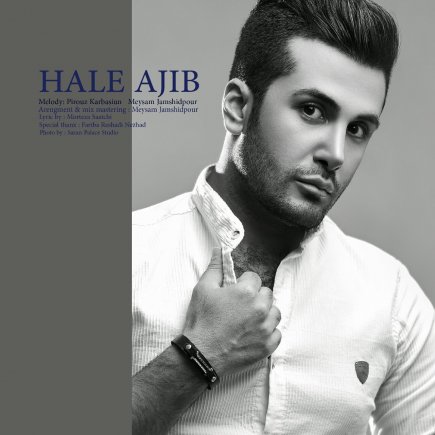 Hale Ajib