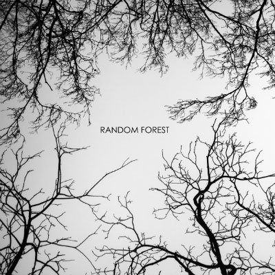 Random Forest - 2014