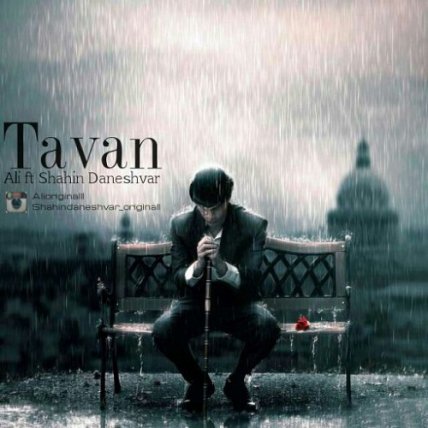 Tavan