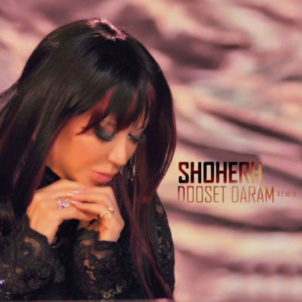 Dooset Daram - Remix