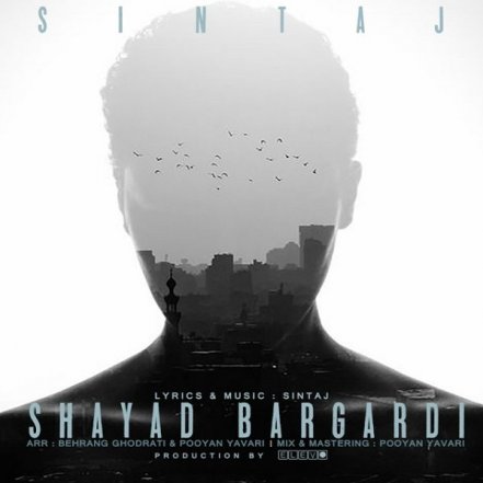 Shayad Bargardi