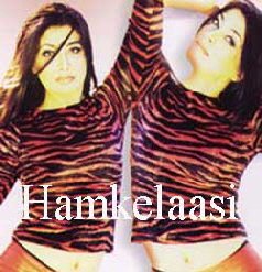 Ham Kelasi