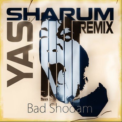 Bad Shodam - Remix