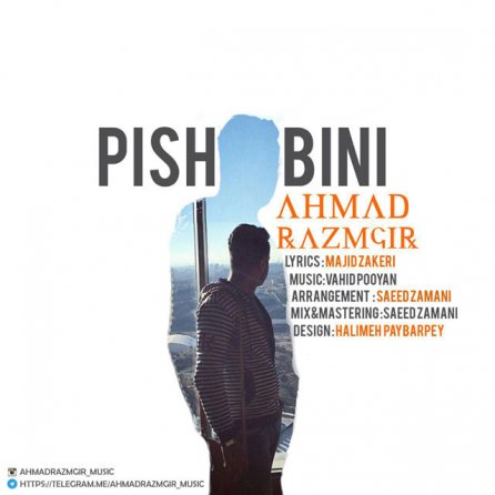 Pishbini
