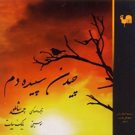 Chidane Sepideh Dam