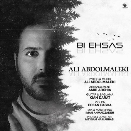 Bi Ehsas