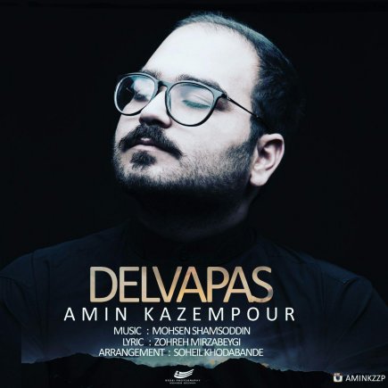 Delvapas