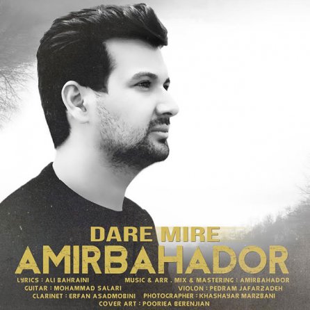 Dare Mire