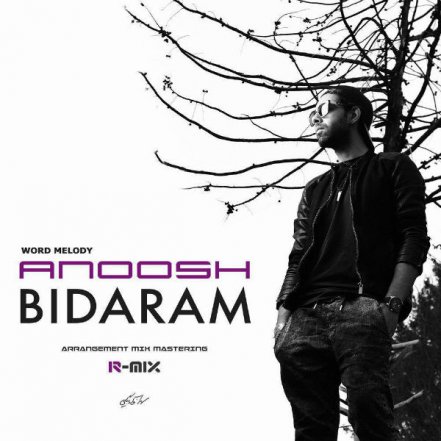 Bidaram