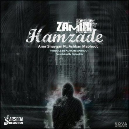 Hamzade Zamini